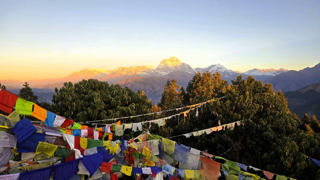 Khopra Ridge trekking dag 9, Ghorepani naar Pokhara, Dhaulagiri