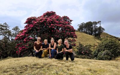 6 x mooiste rhodondendrontrekking in Nepal