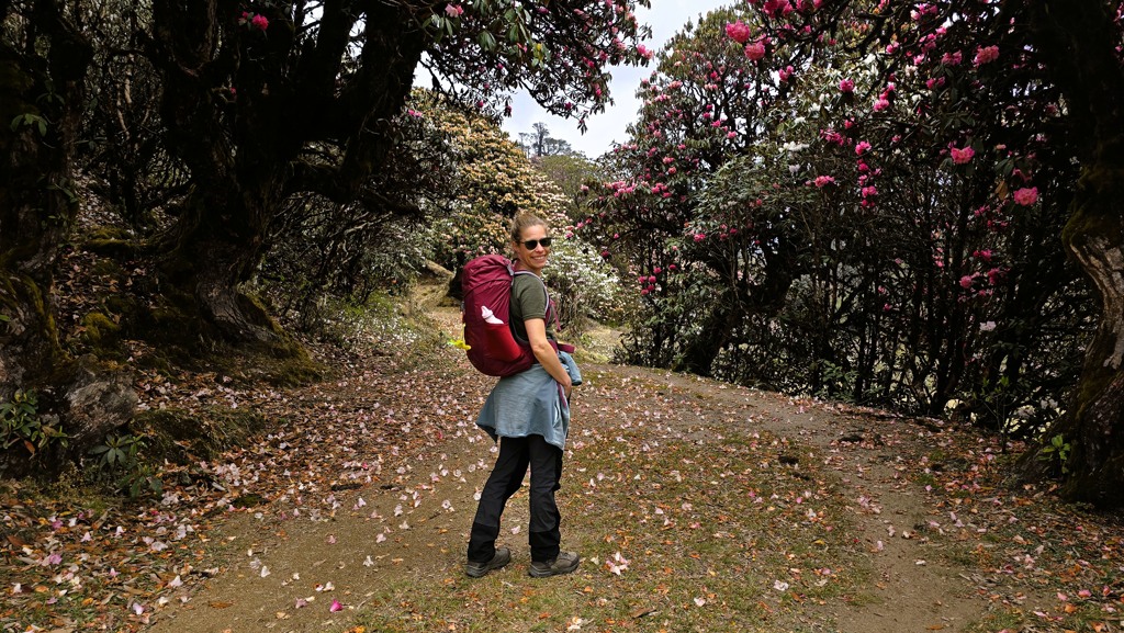 Mooiste rhodondendrontrekking Nepal, Pikey Peak