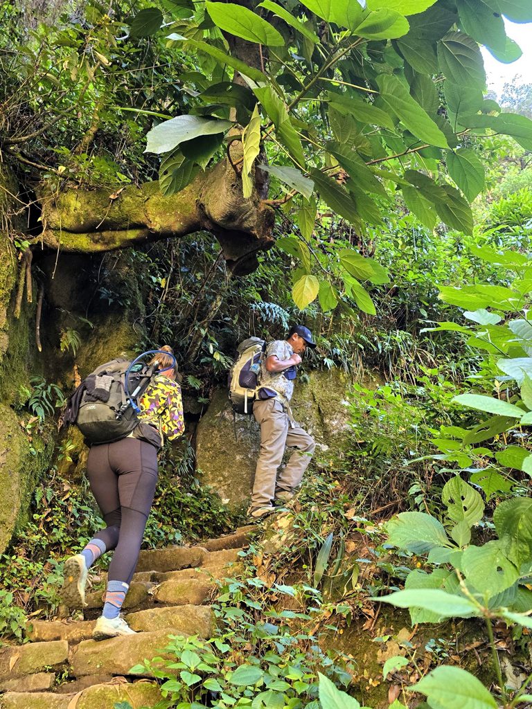 Op en neer over mooie groene paden