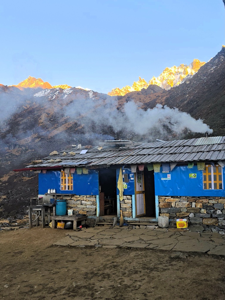 Rook kachel tea house