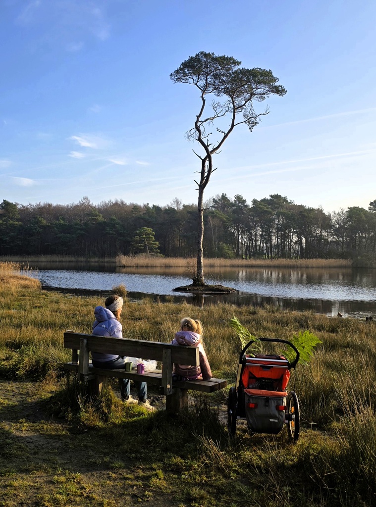 Beste lunchplekje Stellingenpad etappe 10