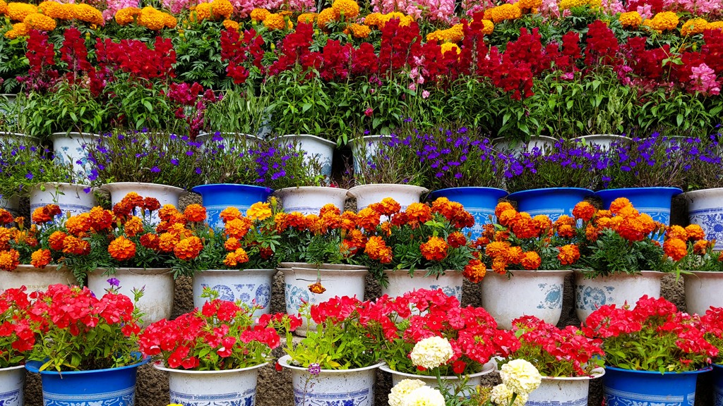 Leukste dingen om te doen in Lhasa, Norbulinka