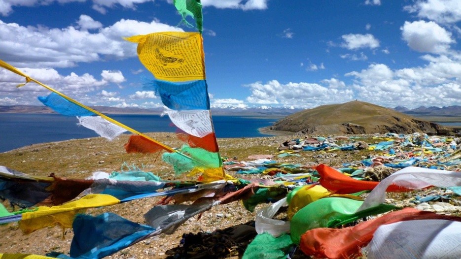 Scharrelkip Nepal