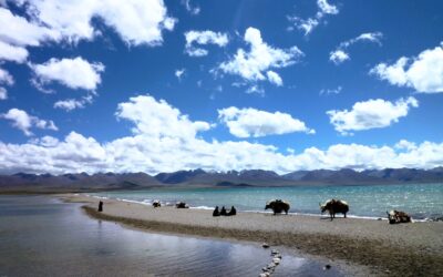 Vaccinaties Tibet: verplicht, aanbevolen en praktische tips
