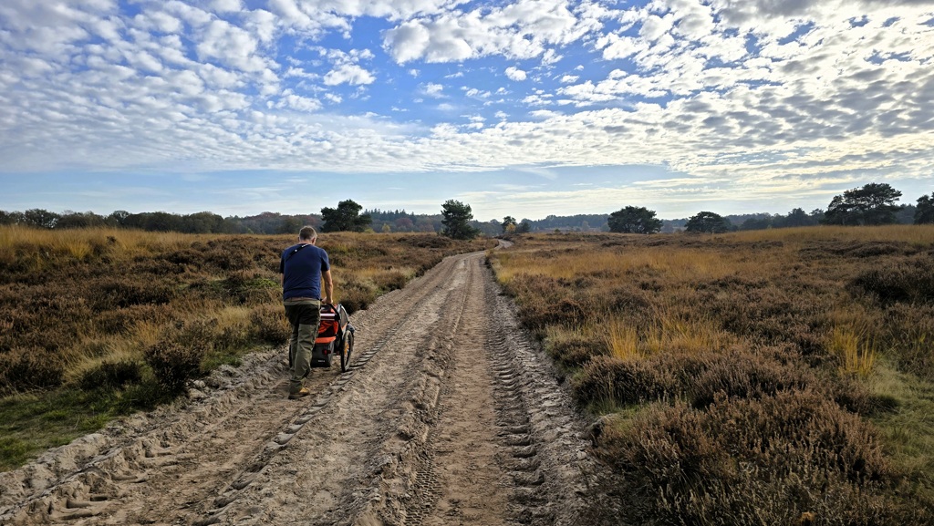 Stellingenpad etappe 2, Vledder naar Havelte, heide