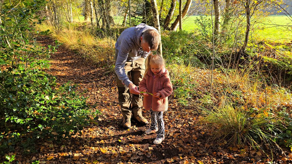 Stellingenpad etappe 2, Vledder naar Havelte, verwonderen