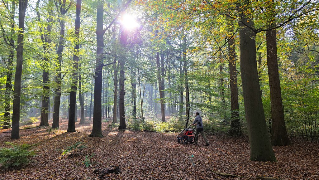 Stellingenpad, streekpad met een verhaal, wandelen in bos