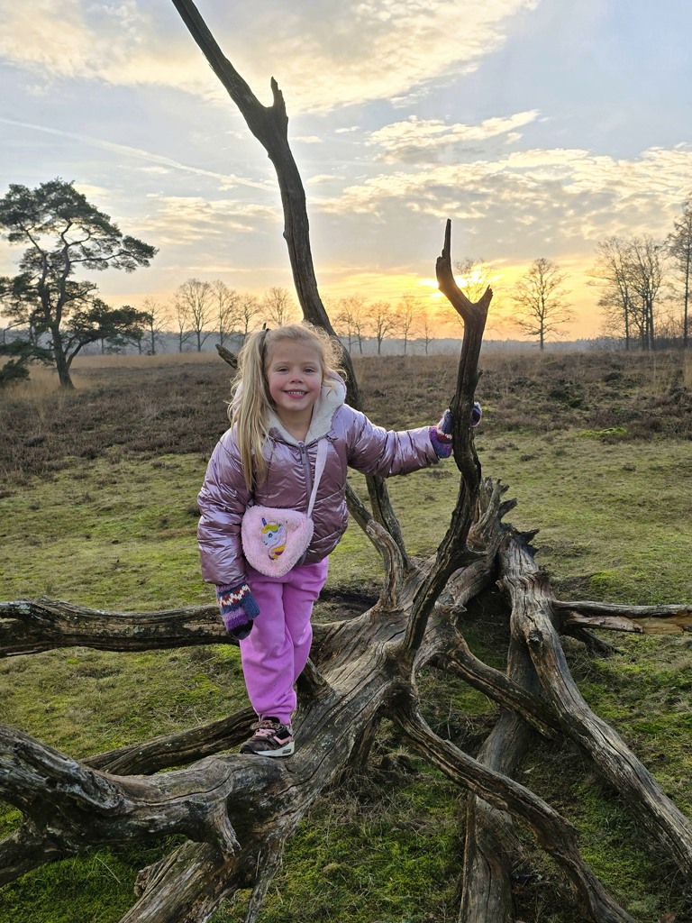 Zonsondergang stellingenpad