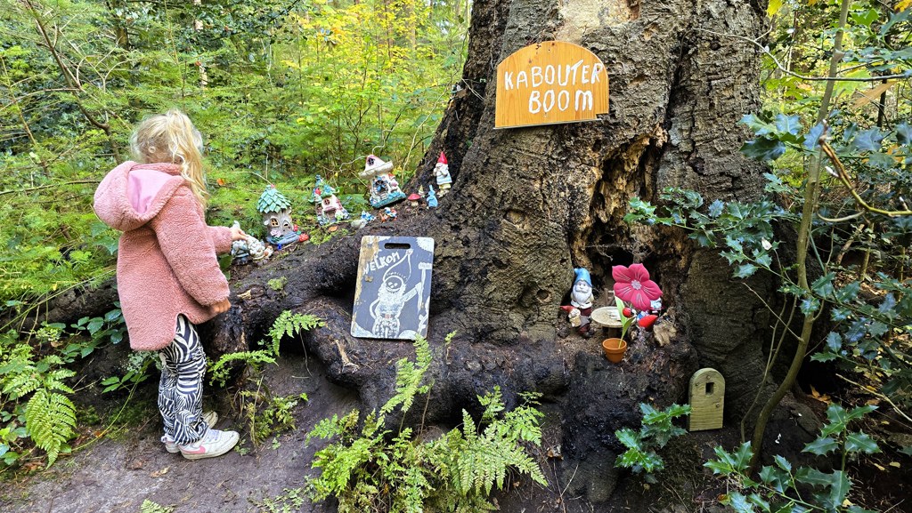 kabouter bij kabouterboom, Stellingenpad etappe 2, Vledder naar Havelte
