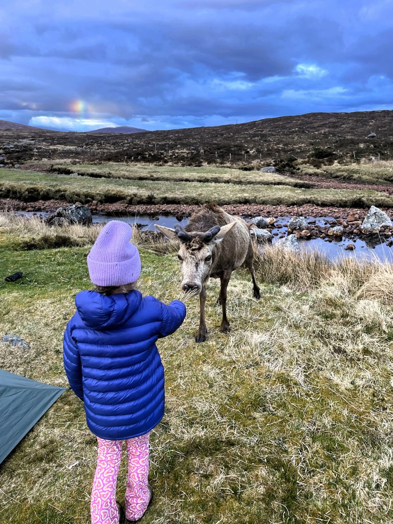 West Highland Way kamperen met kind tussen dieren