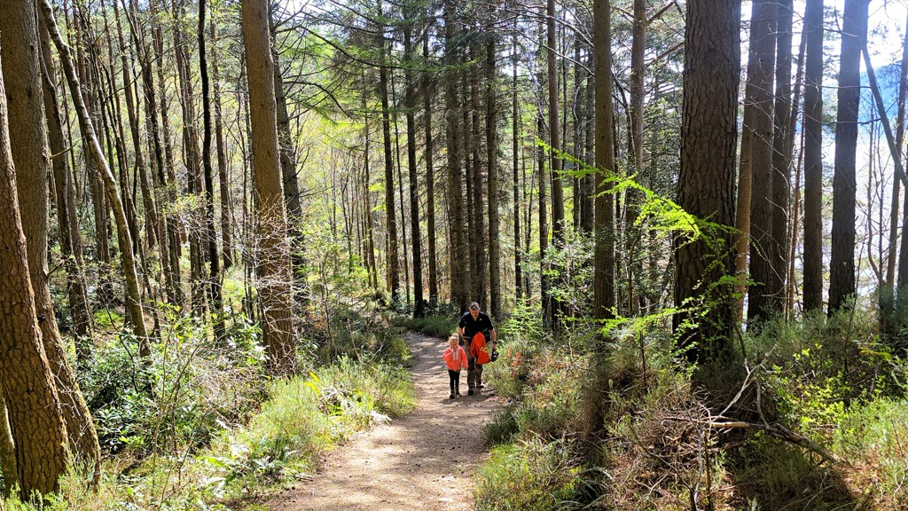 West Highland Way wandelen met kinderen, Schotland, bossen