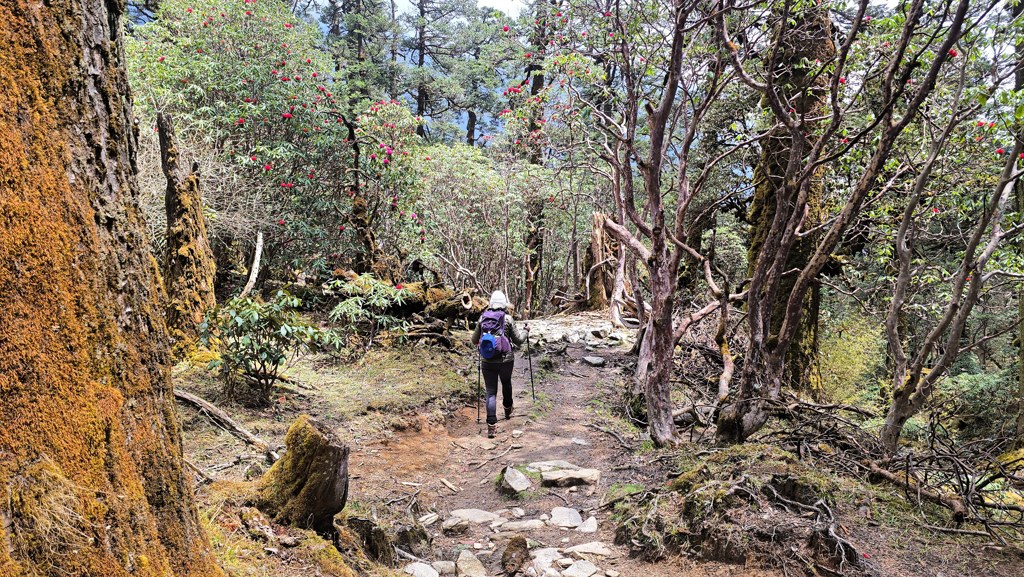 Makkelijke trekking Nepal Himalaya