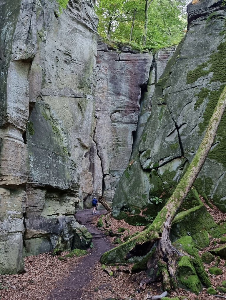 Meerdaagse trektocht Europa, Müllerthal trail Route 2, mooie rotspartijen