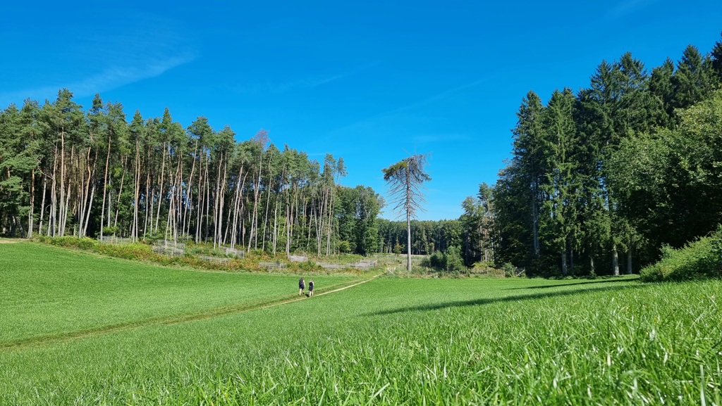 Meerdaagse wandeltochten Europa, Müllerthal trail Route 3, open velden