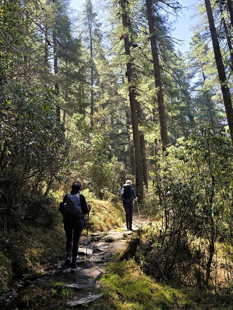 Nepal trekking route beginners niveau