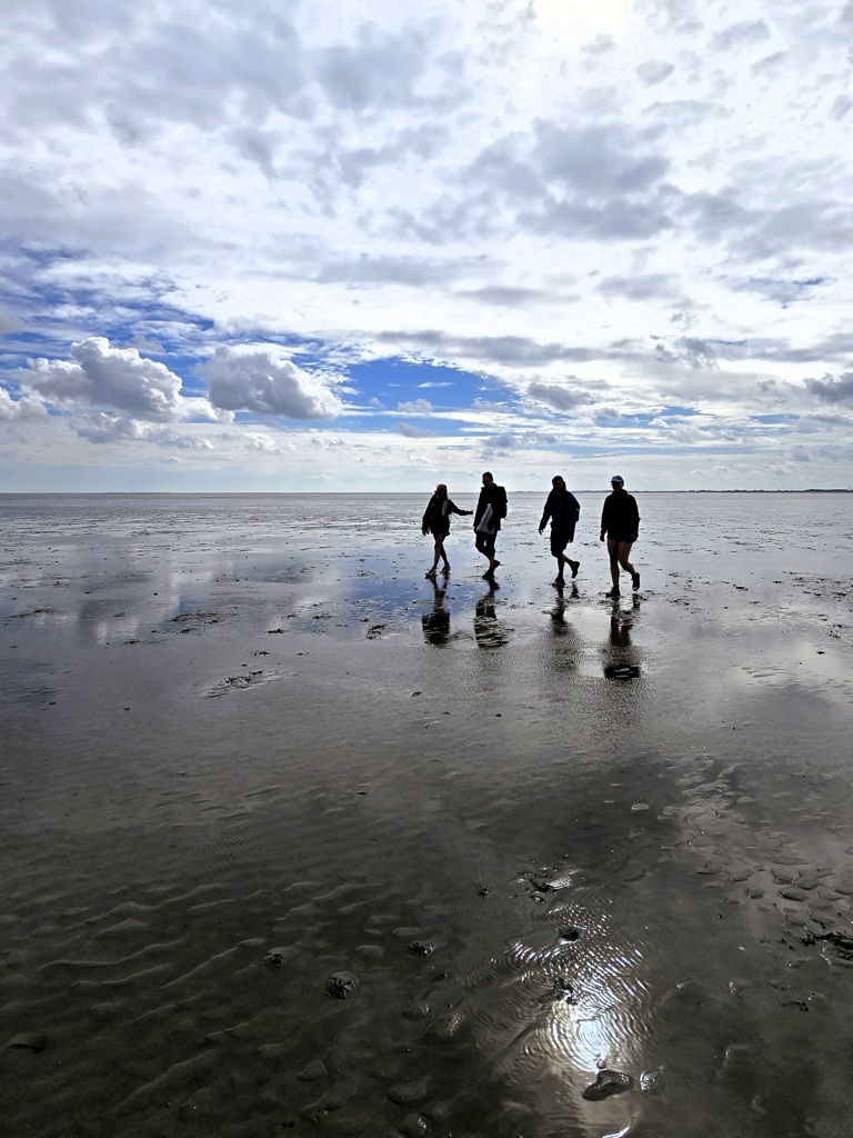 Reflectie op water, Wadlopen naar Ameland