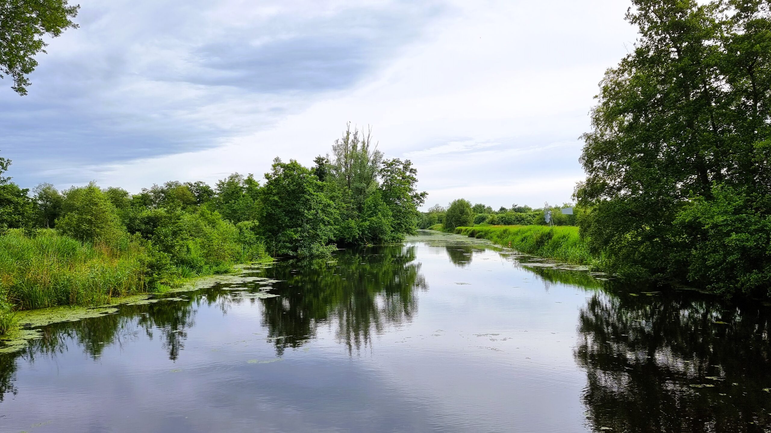 Rottige Meente Friesland, mooi waterrijk wandelgebied