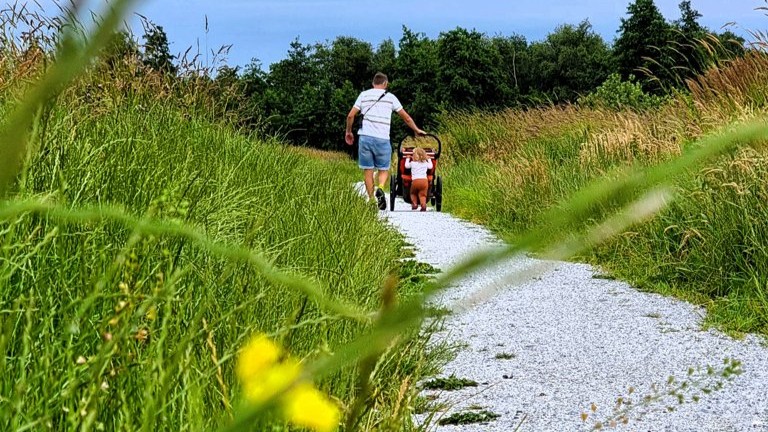 Schelpenpaadjes Rottige Meente, rustige korte wandeling Friesland