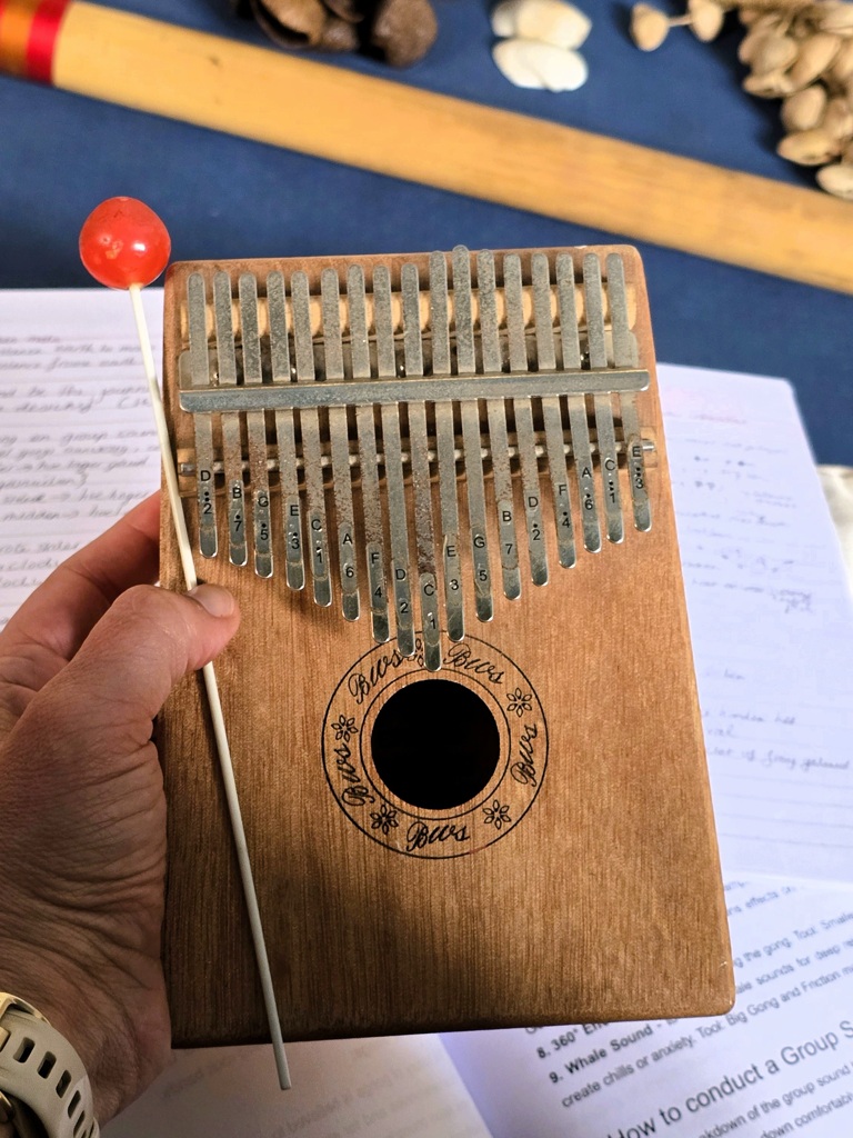 Sound Healing Training Nepal, muziekinstrumenten Kalimba