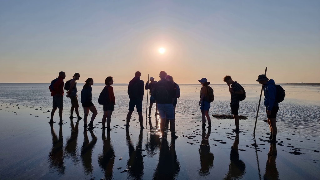 Wadlopen met gids en kleine groep naar Engelsmanplaat