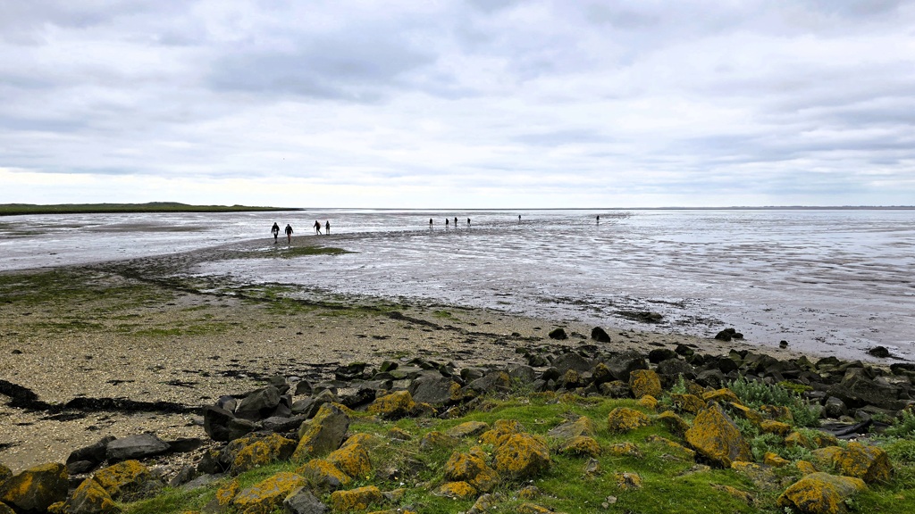 Wadlopen naar Ameland, aankomst waddeneiland Ameland
