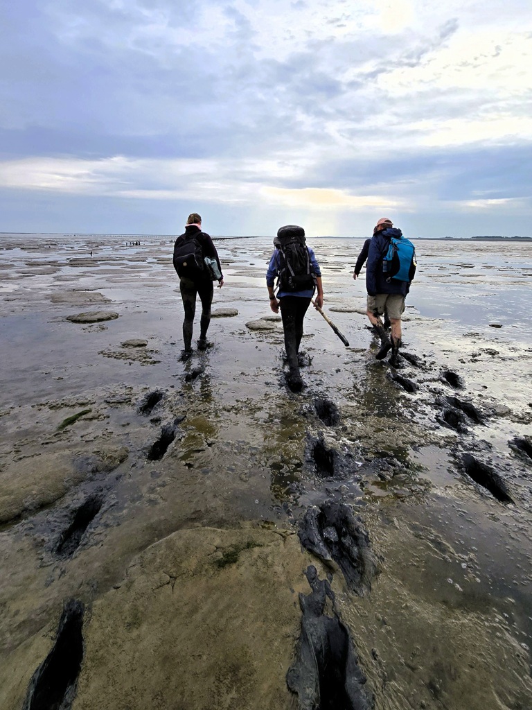 Wadlopen naar Ameland, blubber, slik, modder
