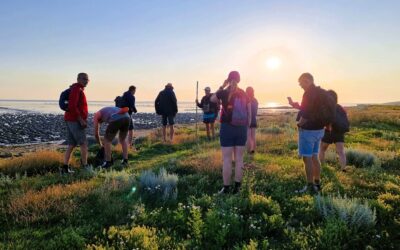 Wadlopen naar Engelsmanplaat: met een kleine groep ’t Wad op