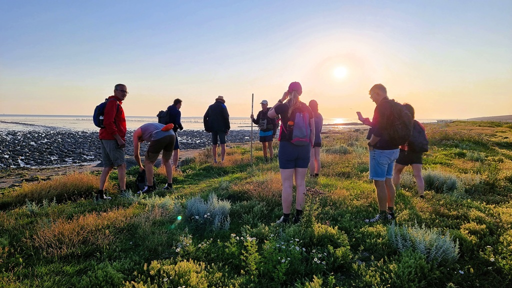 Wadlopen naar Engelsmanplaat, met gids en kleine groep Wadlopen naar Engelsmanplaat, met gids en kleine groep