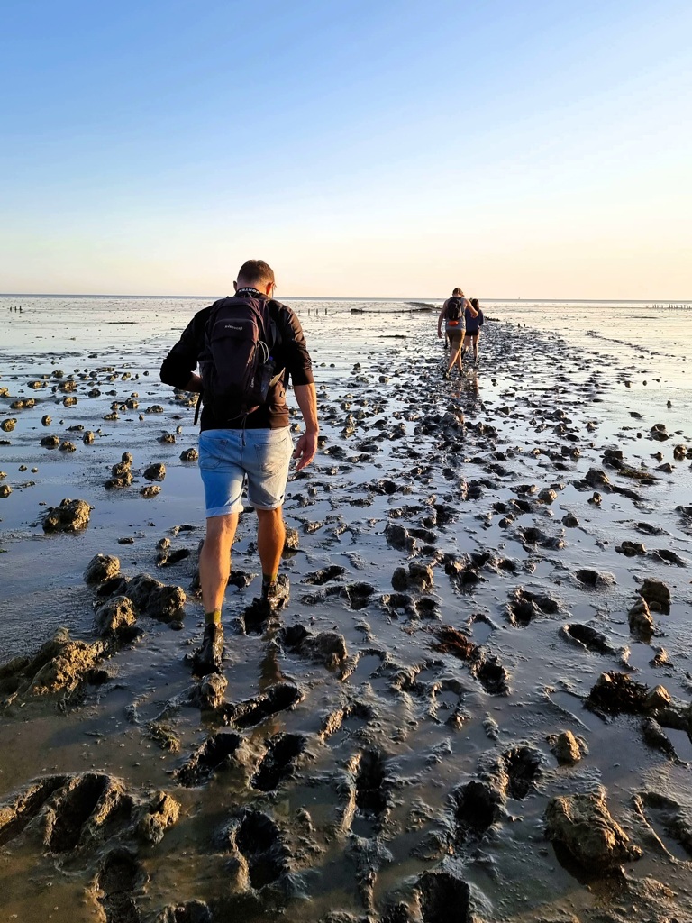 Wadlopen naar Engelsmanplaat vanaf Camping de Hocht in Buren