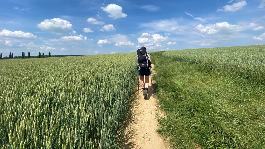 Wandelen in Nederland, mooiste wandelroutes, Dutch Mountain Trail, etappe 2 wandelen tussen tarwevelden