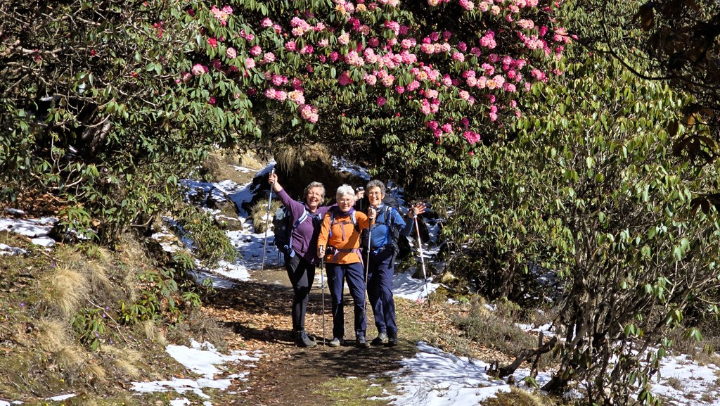 Wandelen in de Himalaya Nepal