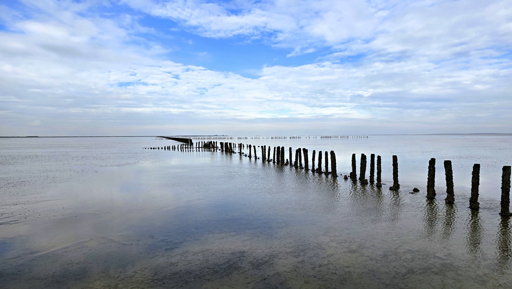 Wandelen over het Wad