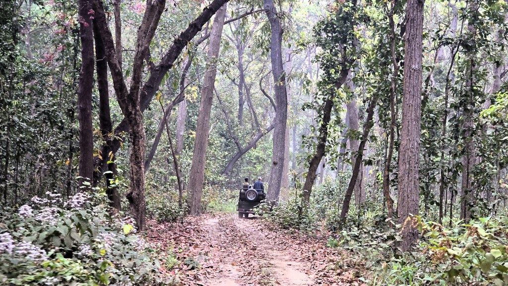 Doen in Bardia National Park, Jeep Safari