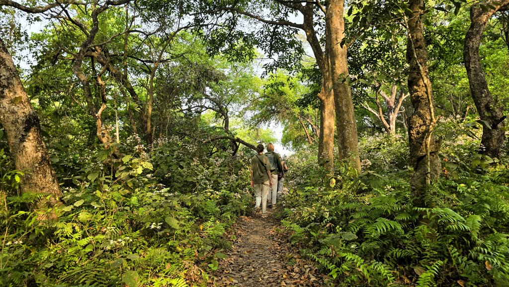 Doen in Bardia National Park Nepal, Wandel Safari