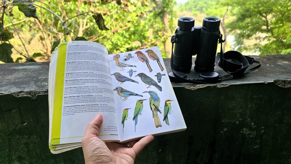 Doen in Bardia National Park, vogels spotten met verrekijker