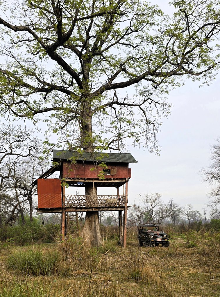 Slapen in boomhut, community forest, Bardia National Park