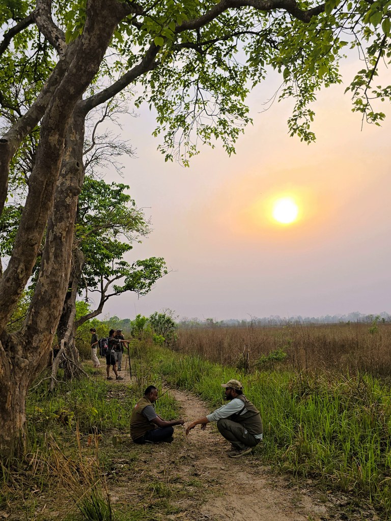 Wachten op wild, Bardia National Park, Nepal